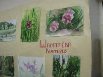 letnyaya-shkola-177.jpg